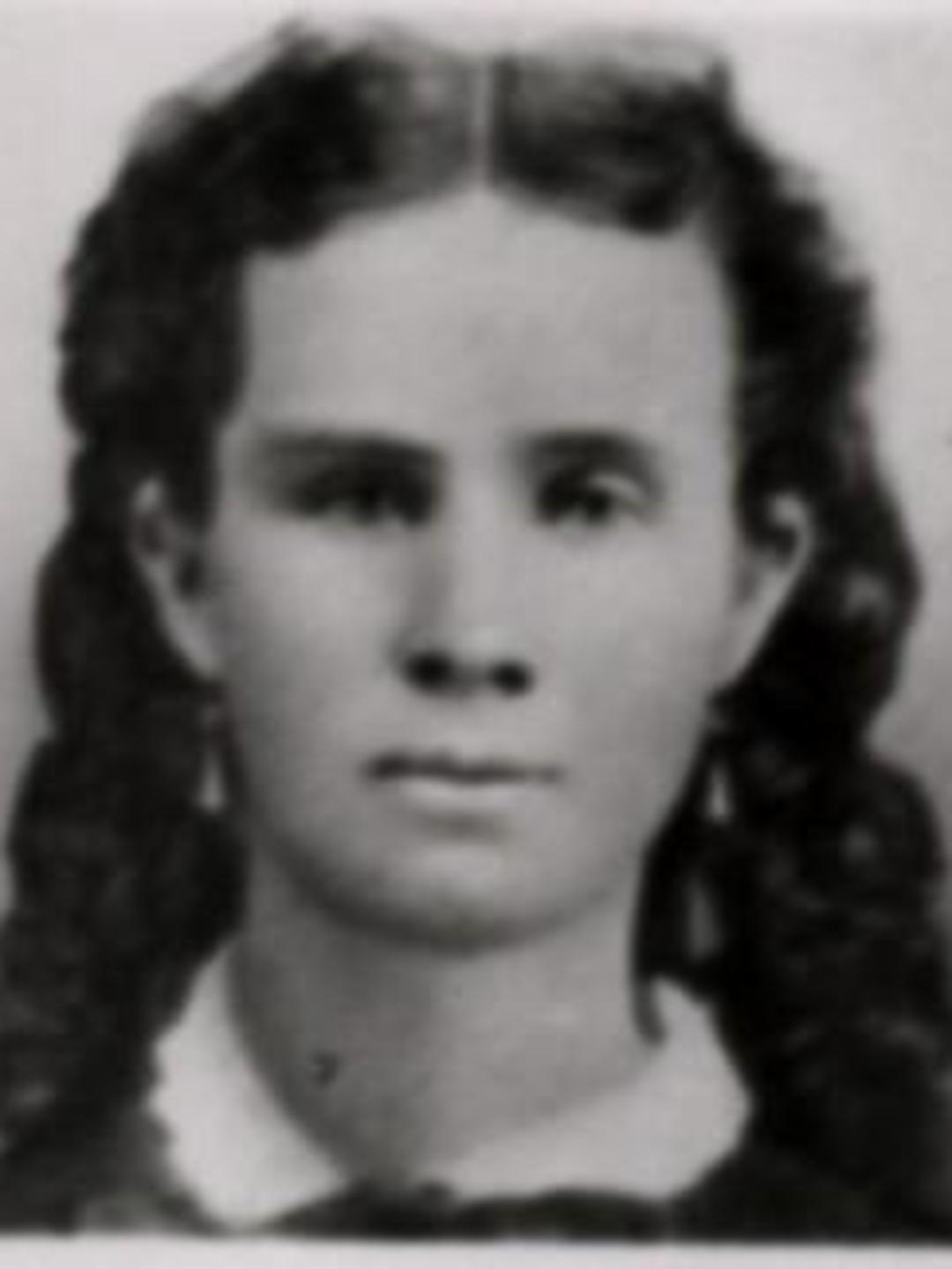 Letitia Maria Davies (1851 - 1890) Profile